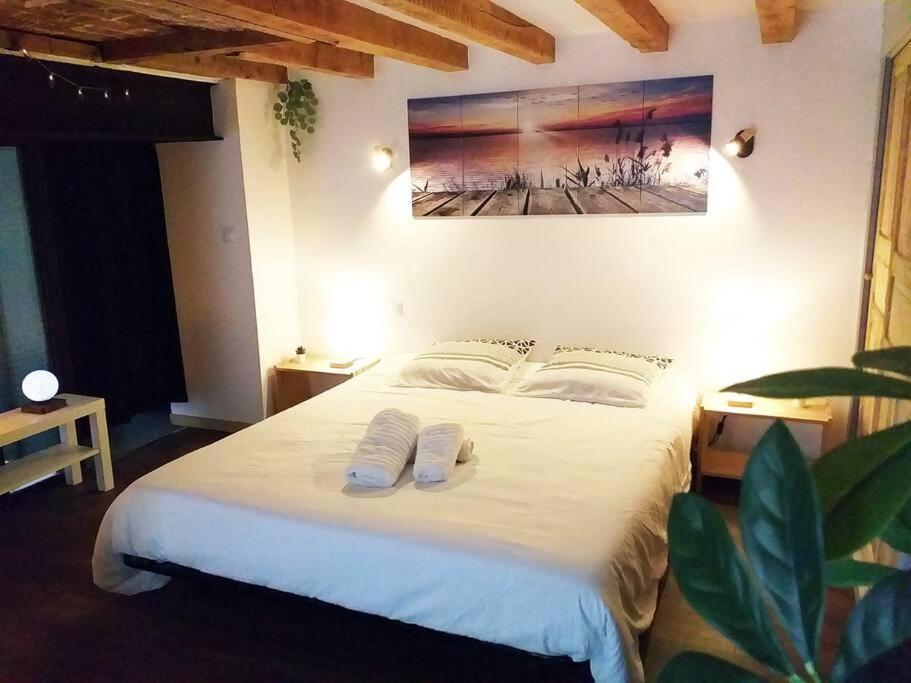 Le Paisible - Gare - Duplex - Garage Prive - Netflix Διαμέρισμα Γκρενόμπλ Εξωτερικό φωτογραφία