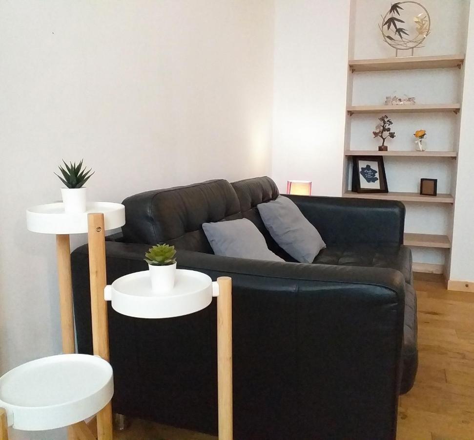 Le Paisible - Gare - Duplex - Garage Prive - Netflix Διαμέρισμα Γκρενόμπλ Εξωτερικό φωτογραφία